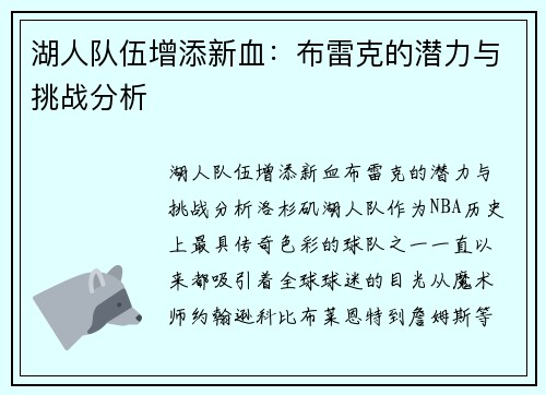湖人队伍增添新血：布雷克的潜力与挑战分析